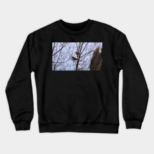 Two Sparrows Perched In a Tree, Male and Female Crewneck Sweatshirt